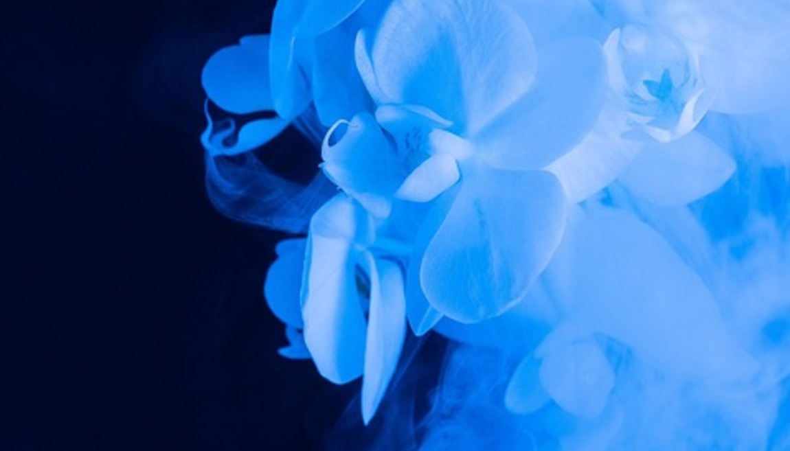 ACTING THE UNCONSCIOUS: DREAM WORK THROUGH PSYCHODRAMA