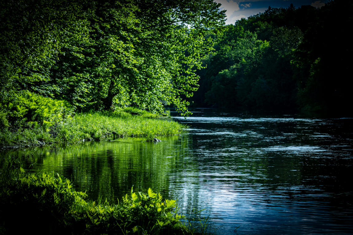 The Place Where the Waters Meet: Entering Our Knowing, Finding Stillness, Quiet, and the Wisdom of Both/And ; Encontrando la quietud, la tranquilidad y la sabiduría de “ambas cosas” y no solo “una cosa o la otra”.