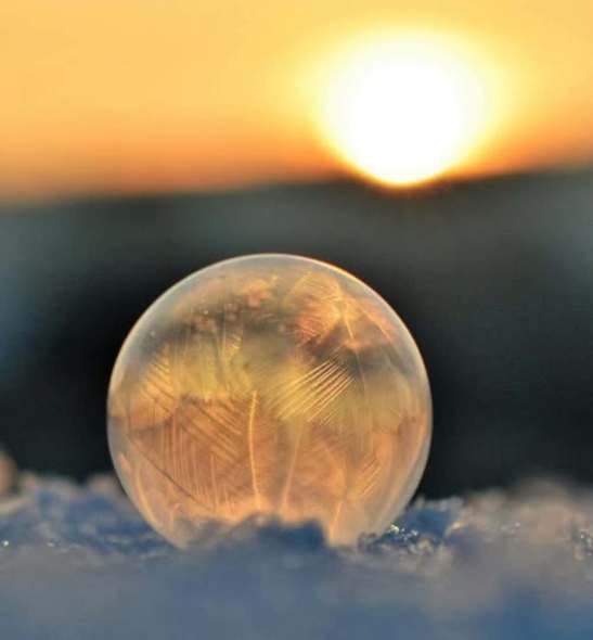 GRIEF ENCOUNTERS: Creating Space for Healing - The Tears of Mother Earth